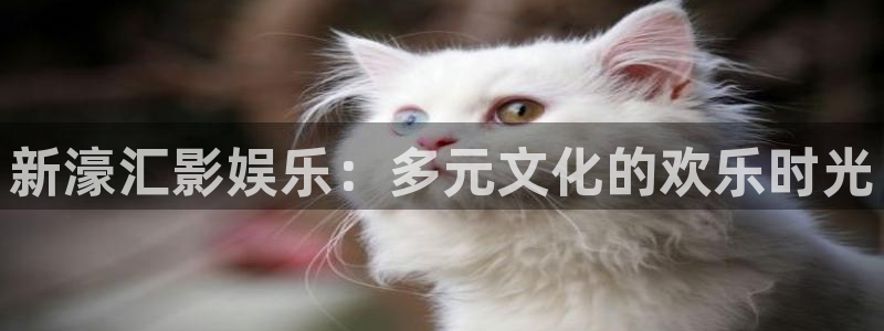 天辰娱乐下载：新濠汇影娱乐：多元文化的欢乐时光