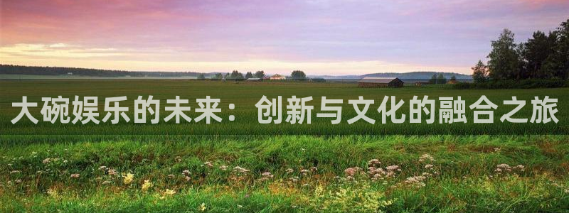 天辰娱乐：大碗娱乐的未来：创新与文化的融合之旅