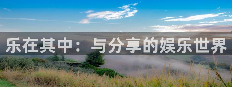 天辰娱乐登录：乐在其中：与分享的娱乐世界