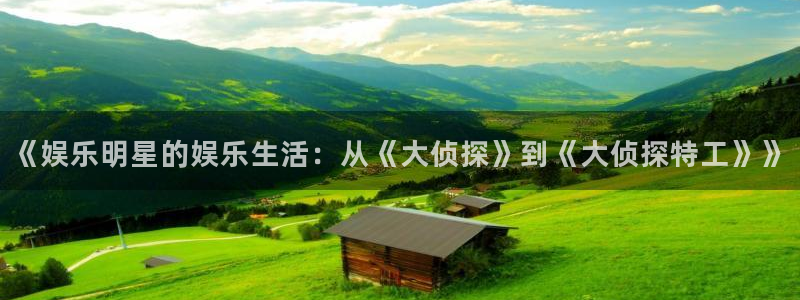 天辰娱乐注册：《娱乐明星的娱乐生活：从《大侦探》到《大侦探特工》》