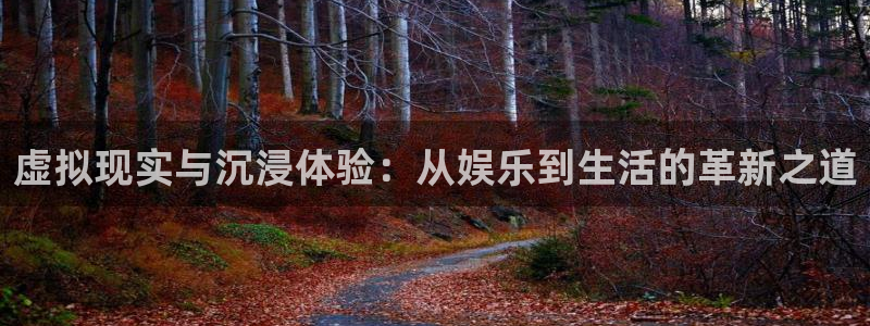 天辰娱乐：虚拟现实与沉浸体验：从娱乐到生活的革新之道