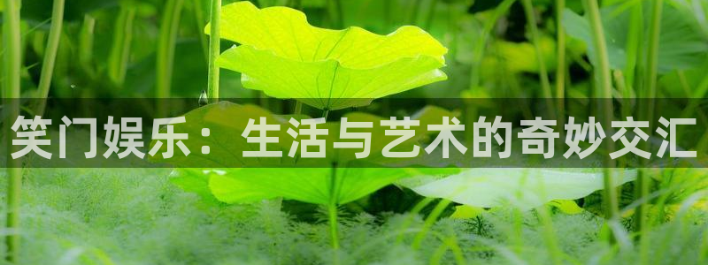 天辰娱乐下载：笑门娱乐：生活与艺术的奇妙交汇