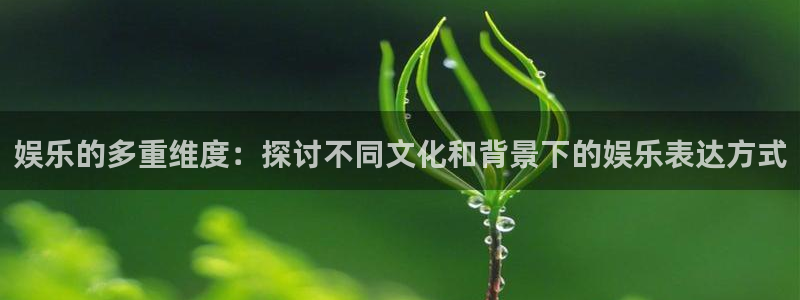 天辰娱乐注册：娱乐的多重维度：探讨不同文化和背景下的娱乐表达方式