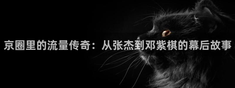 天辰平台：京圈里的流量传奇：从张杰到邓紫棋的幕后故事
