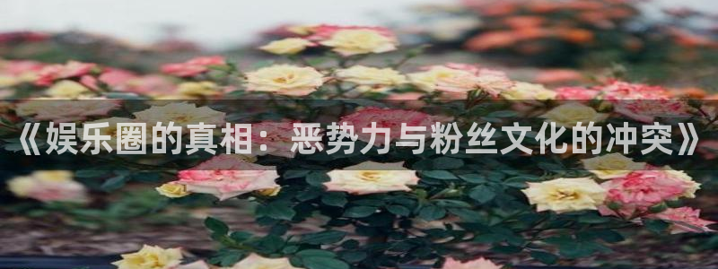 天辰娱乐下载：《娱乐圈的真相：恶势力与粉丝文化的冲突》