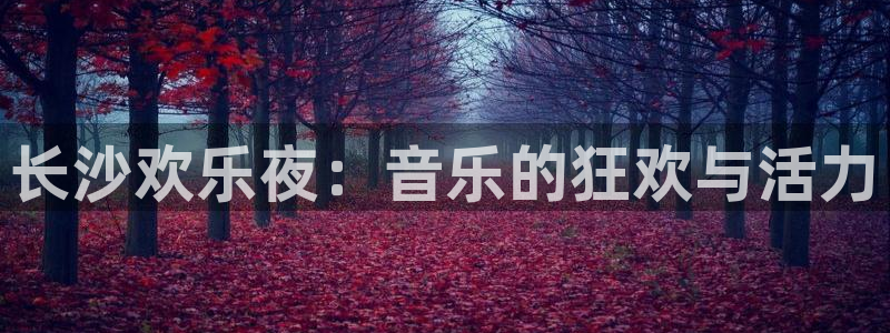 天辰娱乐下载：长沙欢乐夜：音乐的狂欢与活力